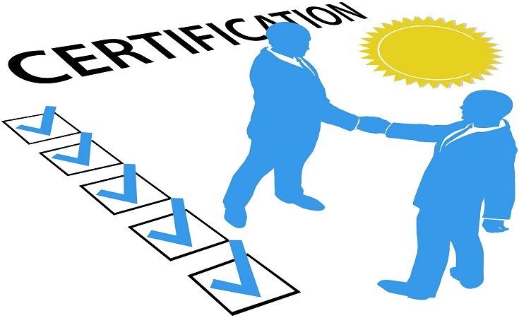 Comment bien choisir une entreprise de dératisation à Strasbourg ?