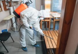 Comment de temps dure une dératisation