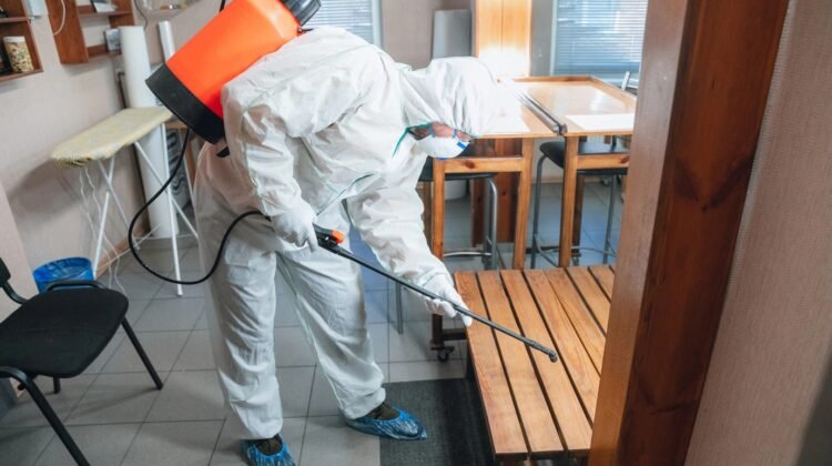 Comment de temps dure une dératisation