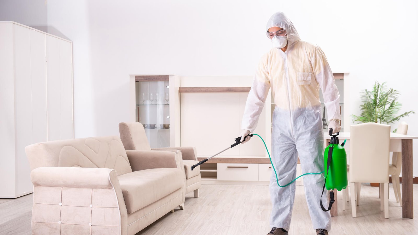 Comment désinsectiser une maison 
