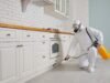 Quels sont les produits les plus efficaces pour la dératisation