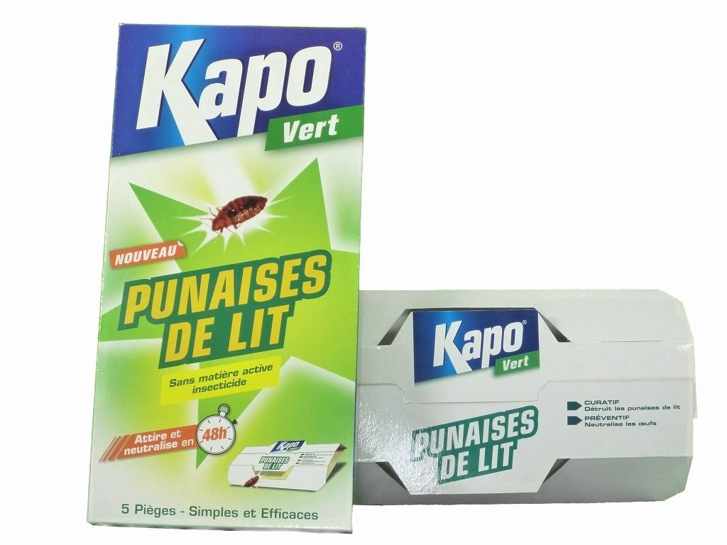 Traitement punaise de lit à Strasbourg : l’essentiel à savoir pour mieux choisir 