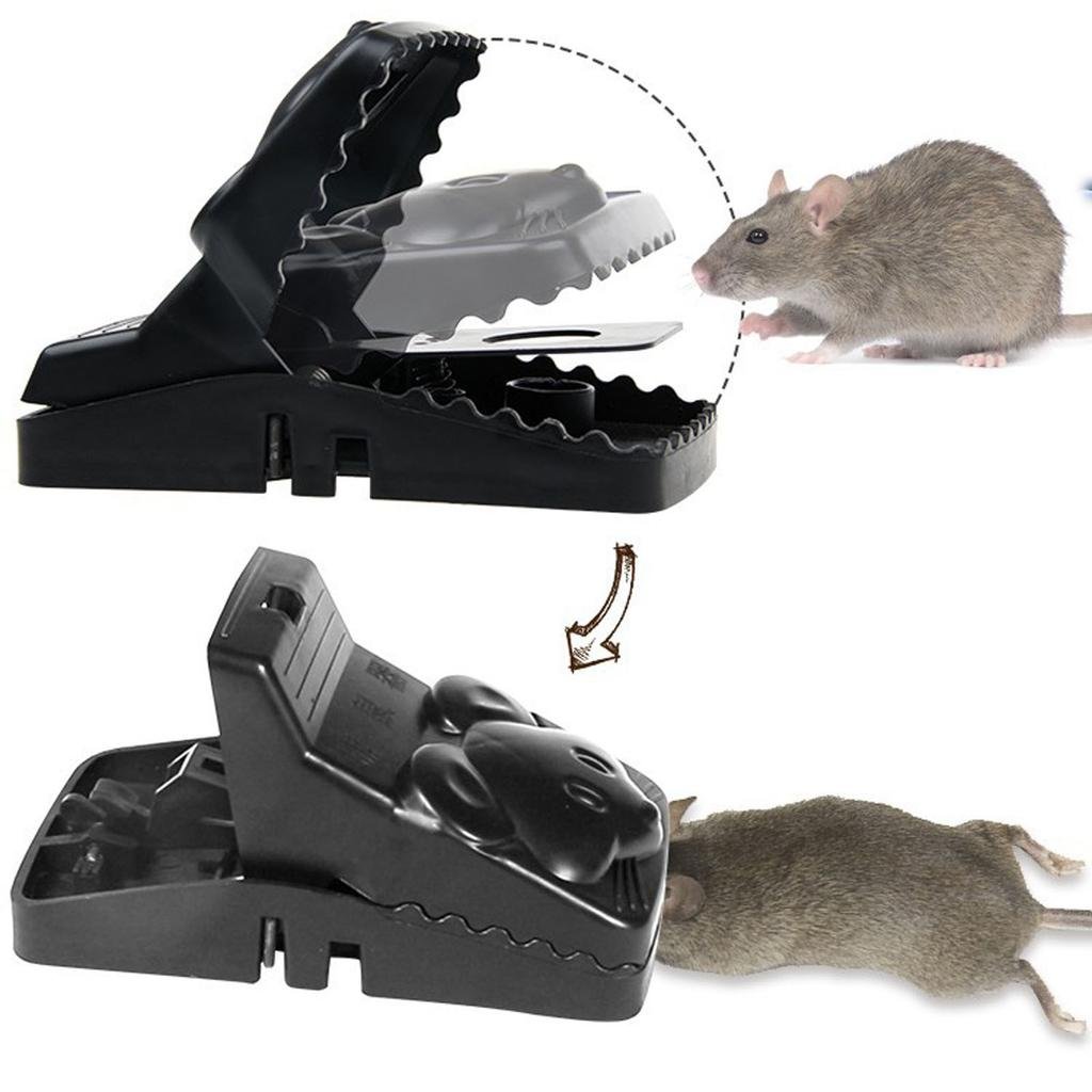 Comment utiliser la mort aux rats 