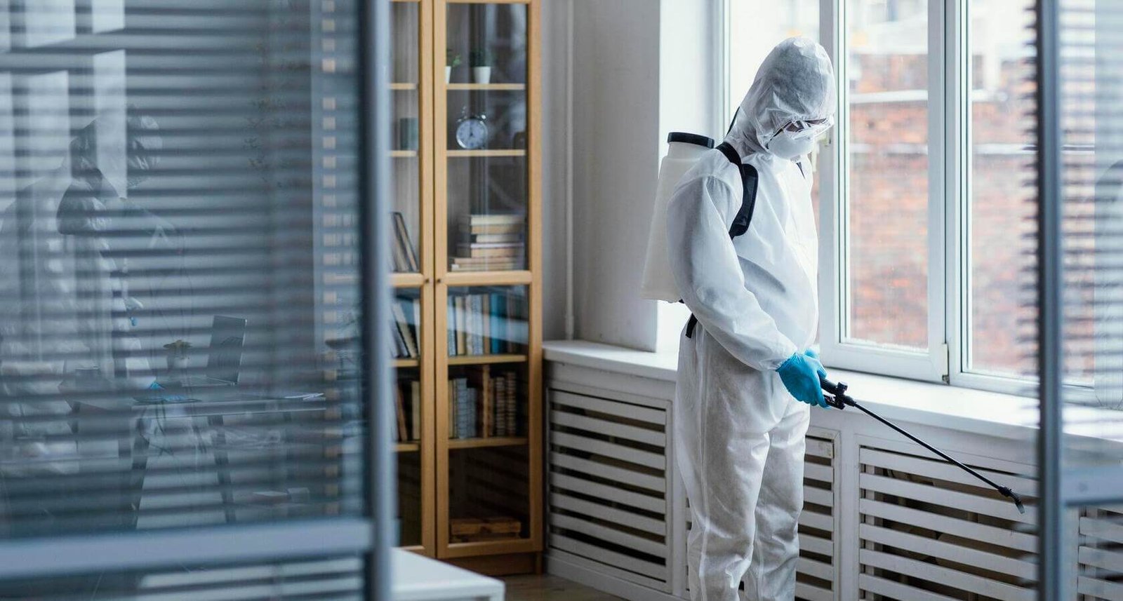 Pourquoi faire appel à une entreprise de dératisation pour l'extermination des rats 