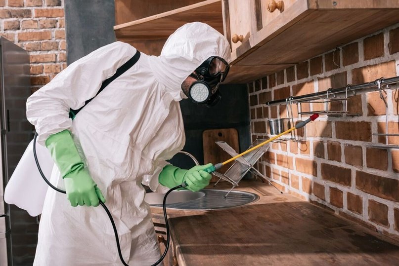 Combien de temps faut-il pour se débarrasser des rats 