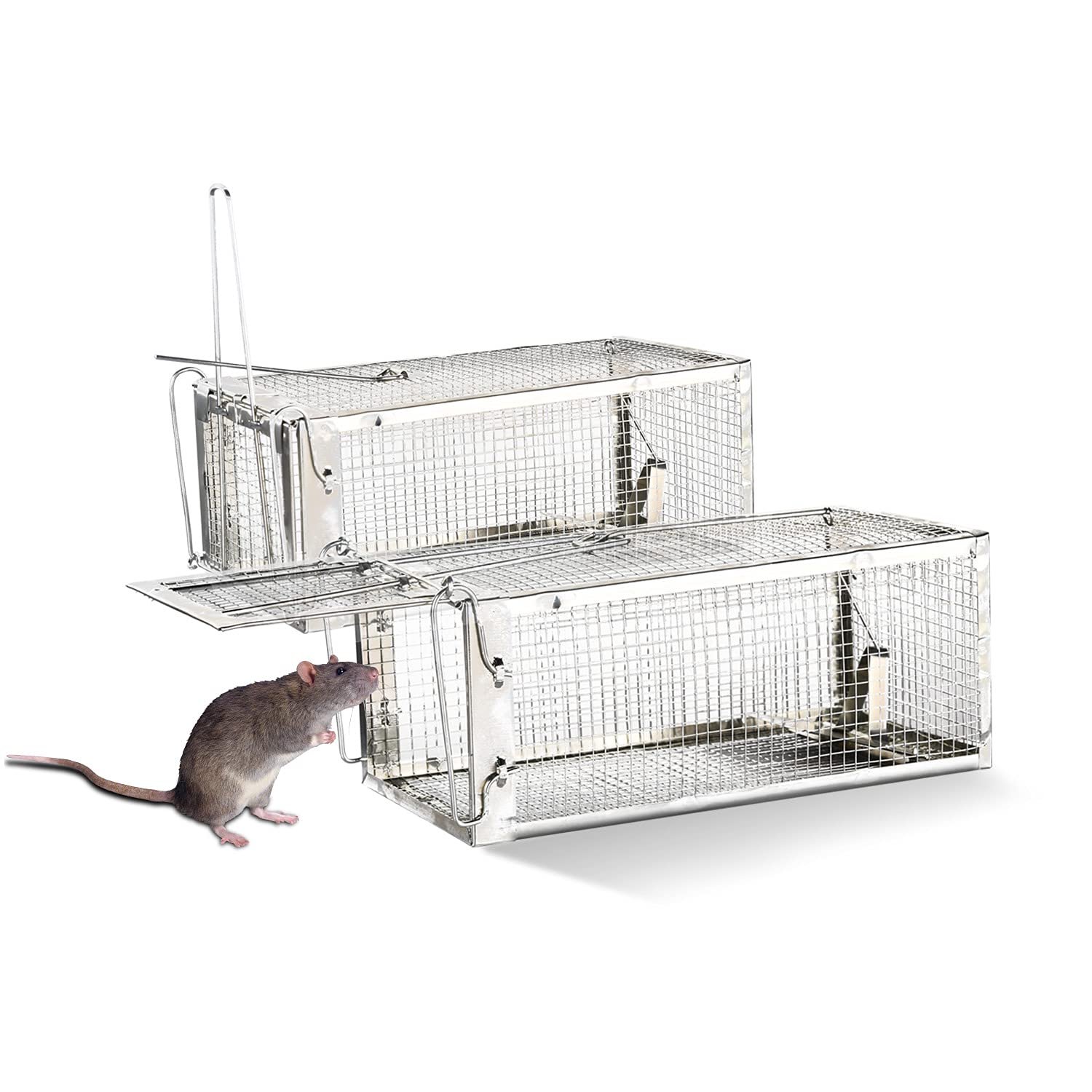 Les pièges à rats : une stratégie de lutte efficace contre ces nuisibles