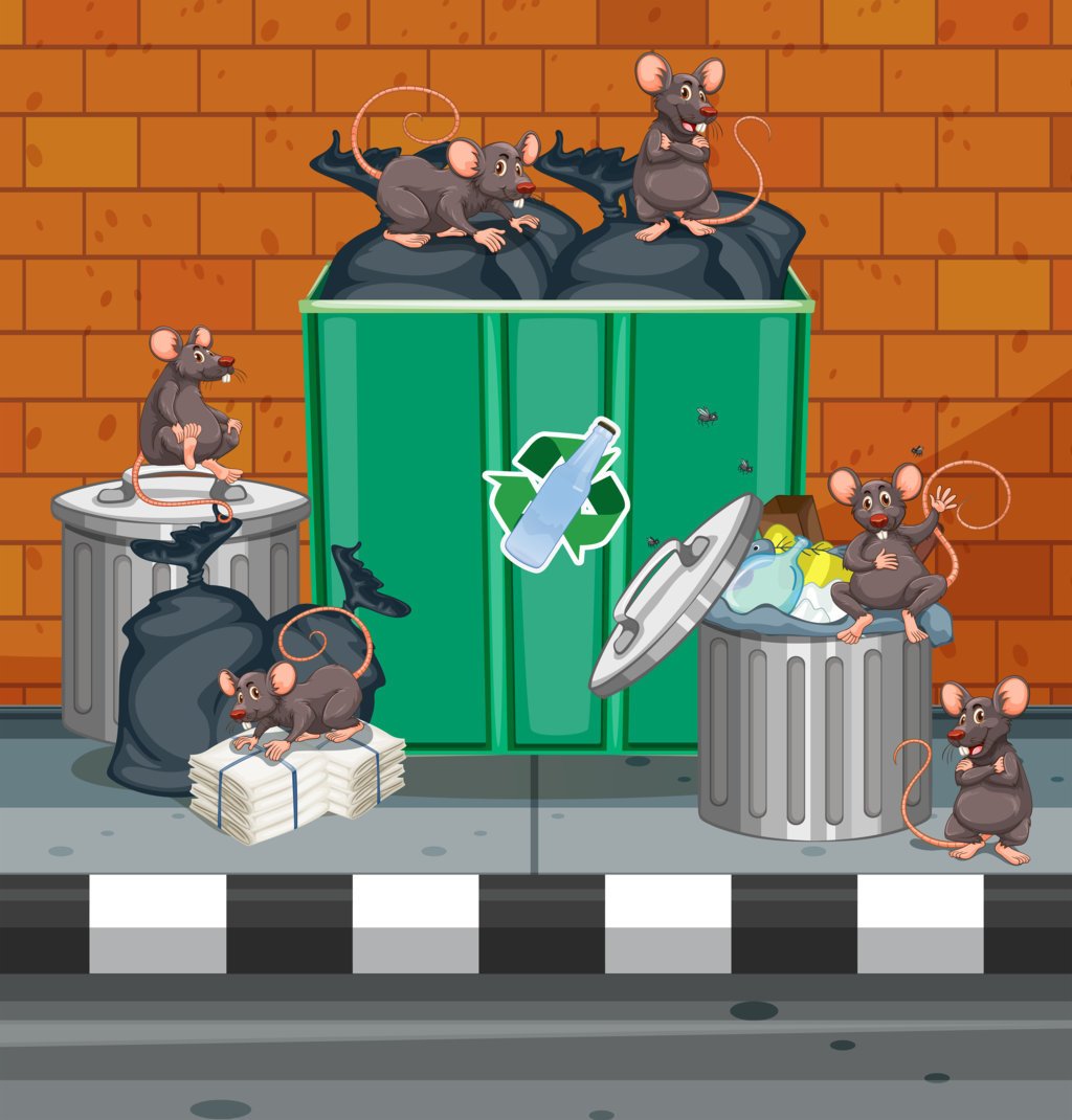 Mulots et souris : comment les reconnaître et les éliminer efficacement 