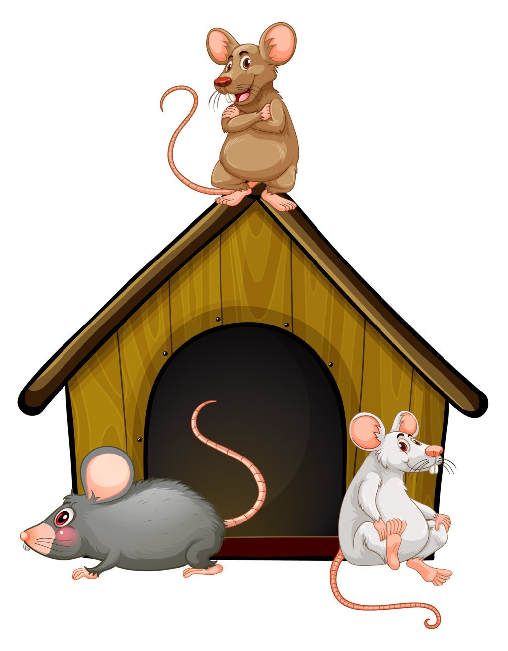 Mulots et souris : comment les reconnaître et les éliminer efficacement 