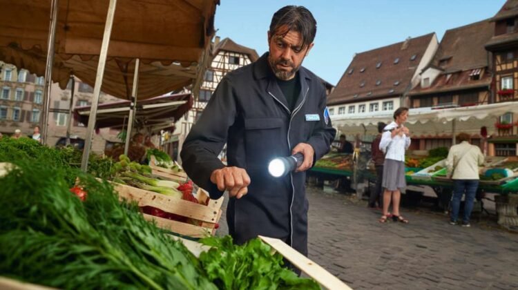 Comment attraper une souris cachée dans les marchés et supermarchés à Strasbourg