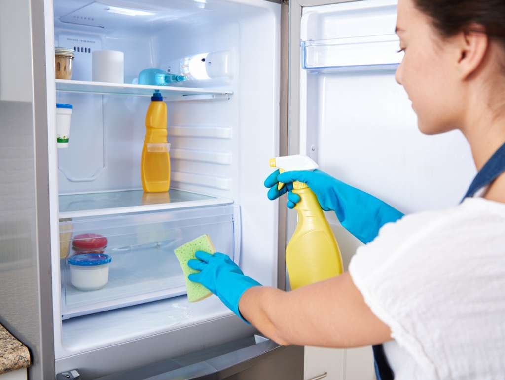 Comment se débarrasser des cafards dans le frigo