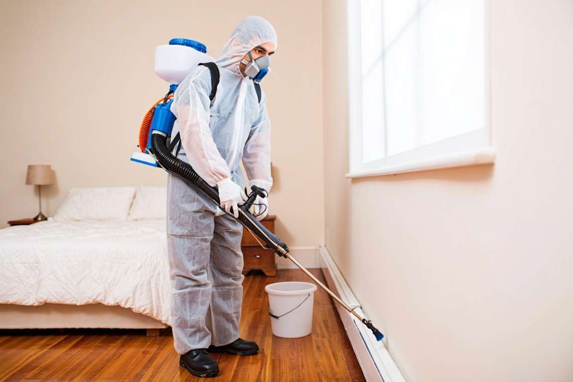 Comment désinfecter une maison pleine de puces 