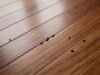 Combien coûte une désinsectisation contre les puces de plancher