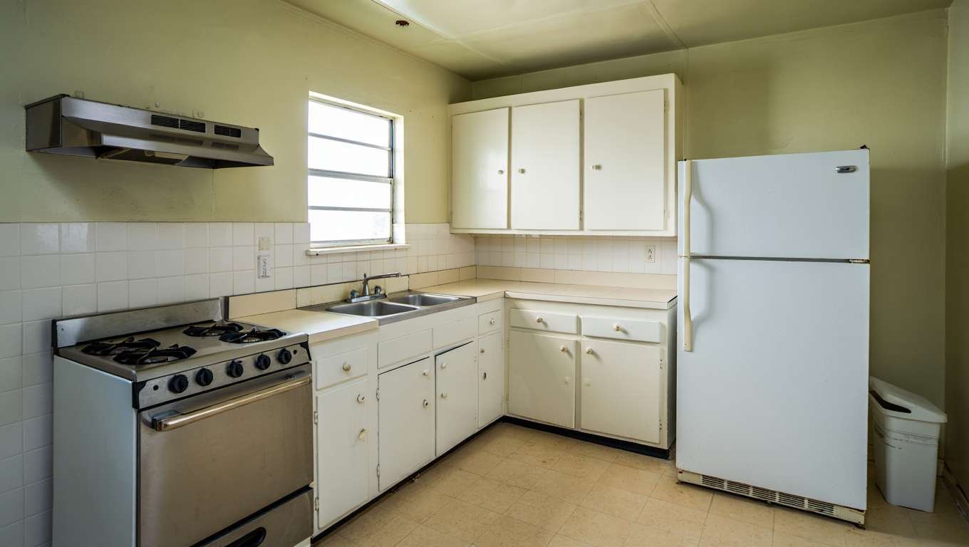 Cafards dans un logement HLM