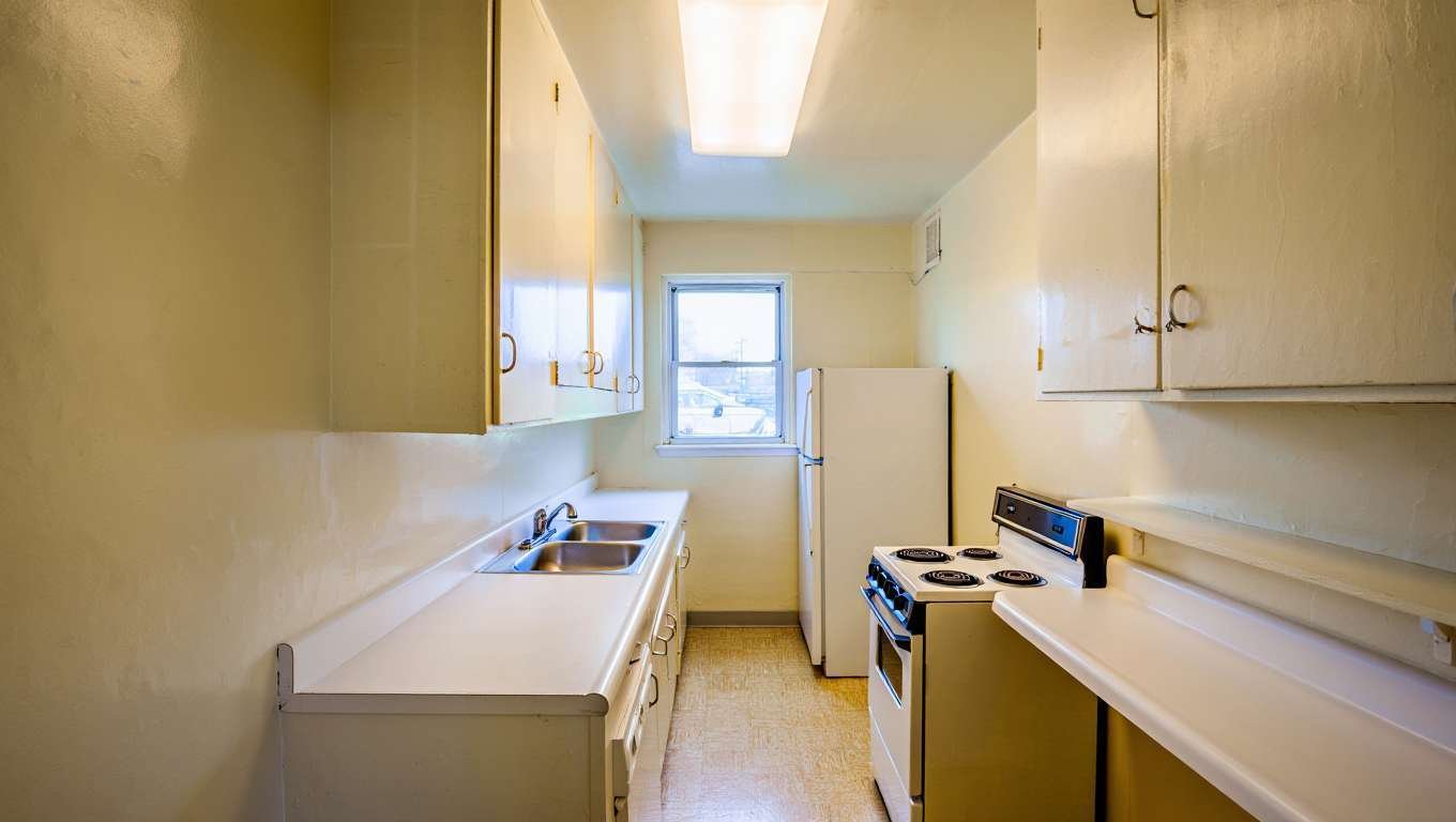 Cafards dans un logement HLM