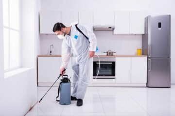 Dératisation, désinsectisation, désinfection : quels avantages fiscaux ?