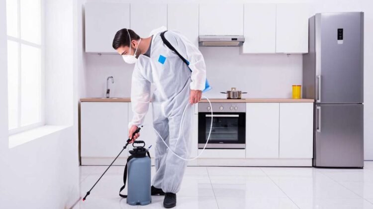 Dératisation, désinsectisation, désinfection : quels avantages fiscaux ?