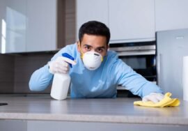 Décontamination de sa maison après une infestation de souris