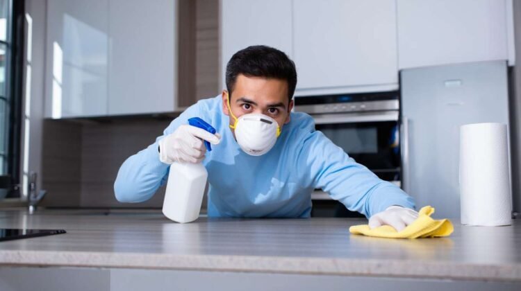 Décontamination de sa maison après une infestation de souris