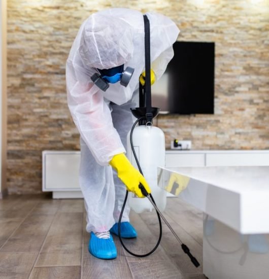 Disinfection-and-Cleaning-Services